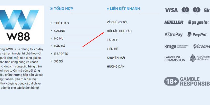 Giới thiệu thông tin chung về đối tác hợp tác tại WW88